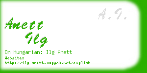 anett ilg business card